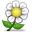 Букет