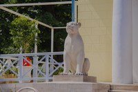 Видеосъемка прогулки на свадьбе в Коломенском