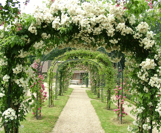 Away wedding marriage registration Away wedding marriage registration