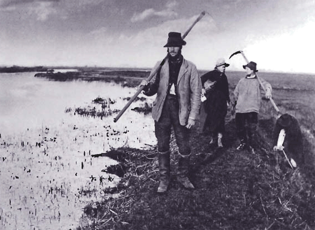 Рубщики тростника. Фото Питера Генри Эмерсона