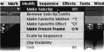 Опция Make Subclip