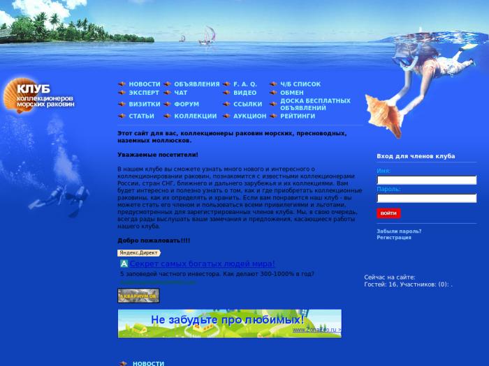 сайт о морских раковинах